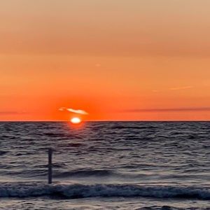 Meet your Posher, Danny